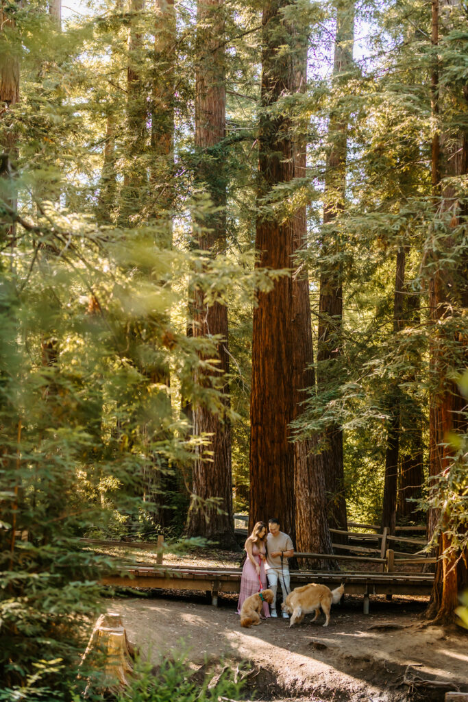 family session as an example of why you should take yearly family portraits