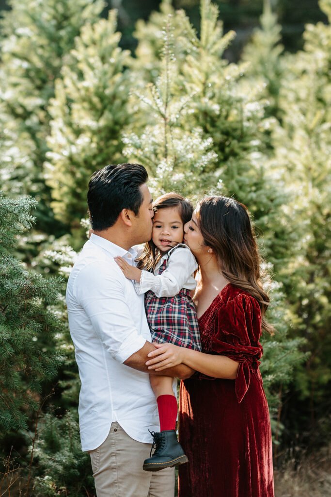 family christmas farm photos as example of bay area maternity photographer