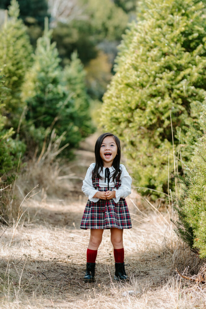 family christmas farm photos as example of bay area maternity photographer