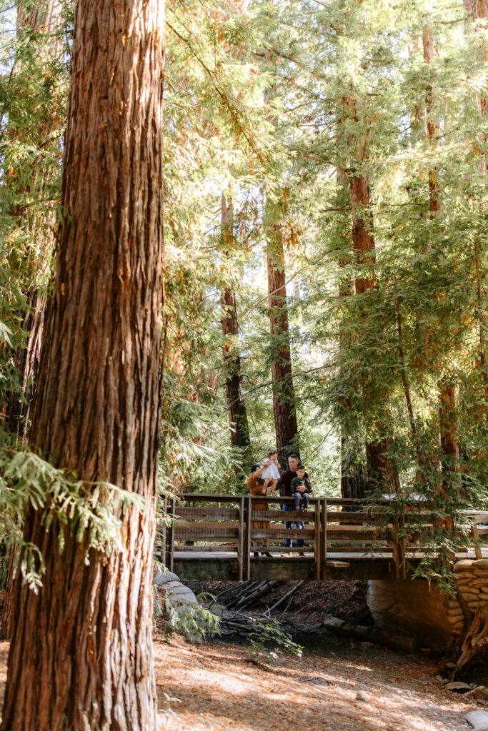 family session as example of cozy fall activities from bay area family photographer