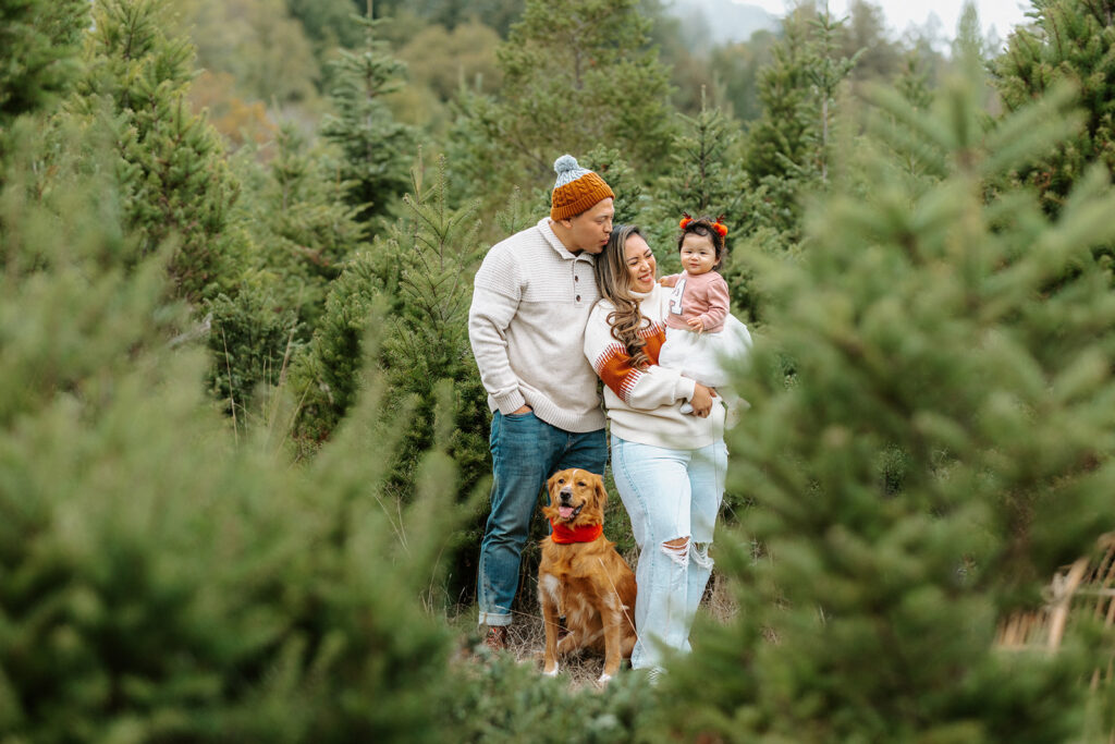 family christmas tree farm photo as an example of san francisco family photographer