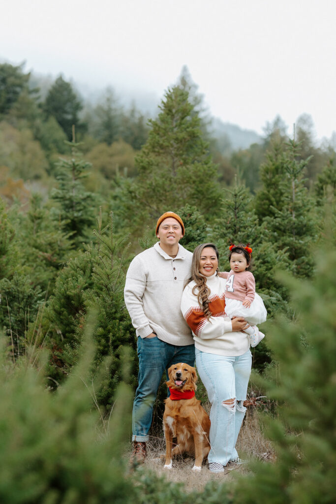 family christmas tree farm photo as an example of san francisco family photographer