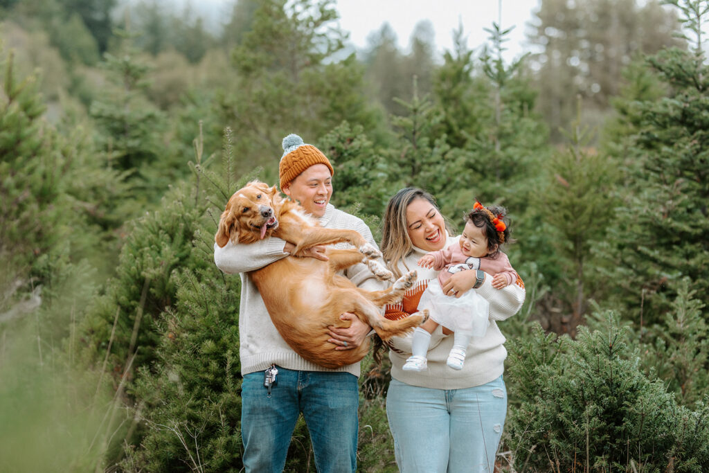 family christmas tree farm photo as an example of san francisco family photographer