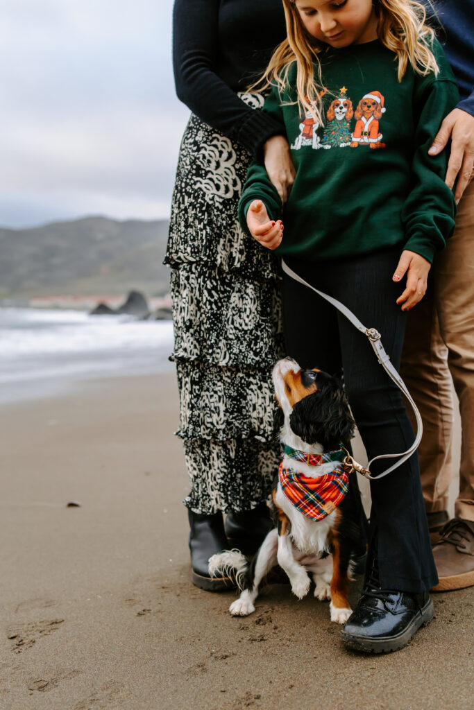 family photo as example of san francisco family photographer