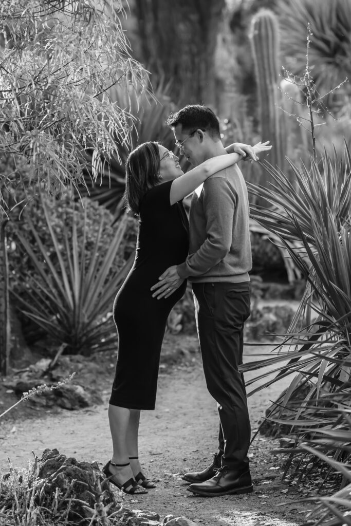 palo alto cactus garden maternity session as example of san francisco maternity photographer