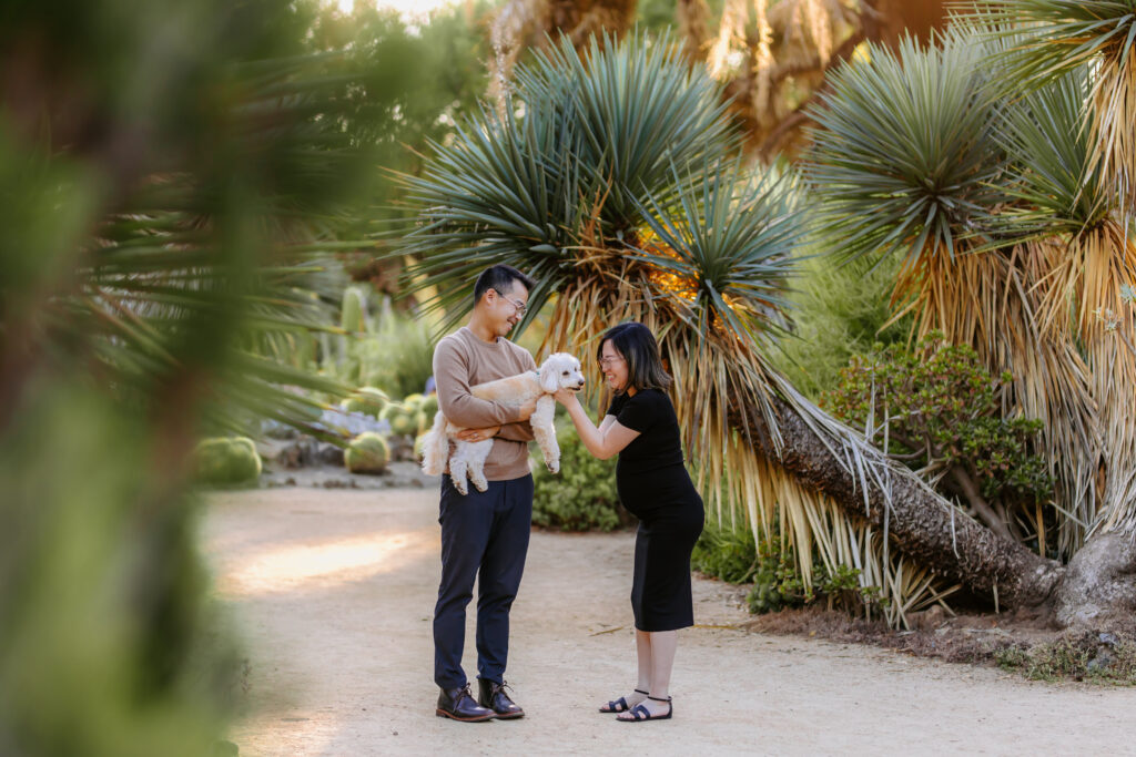 palo alto cactus garden maternity session as example of san francisco maternity photographer