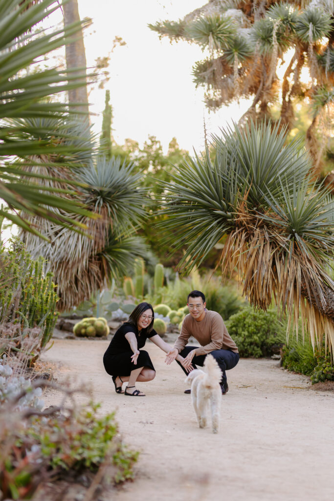 palo alto cactus garden maternity session as example of san francisco maternity photographer