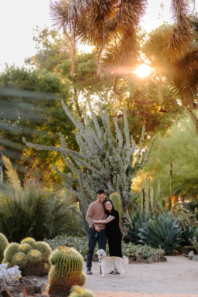 palo alto cactus garden maternity session as example of san francisco maternity photographer
