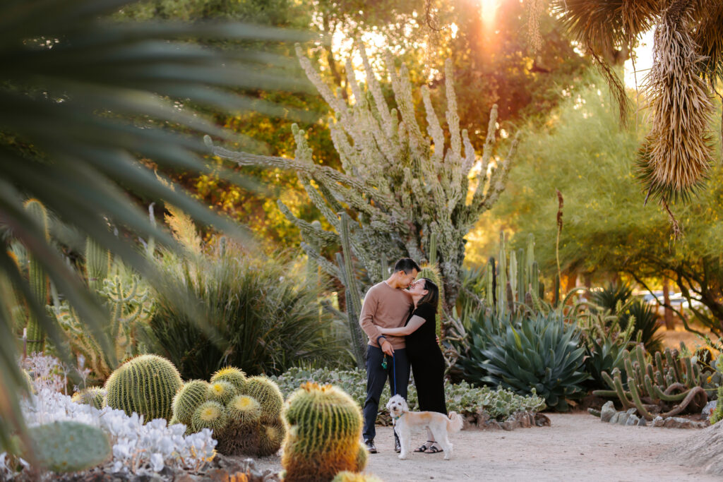 palo alto cactus garden maternity session as example of san francisco maternity photographer