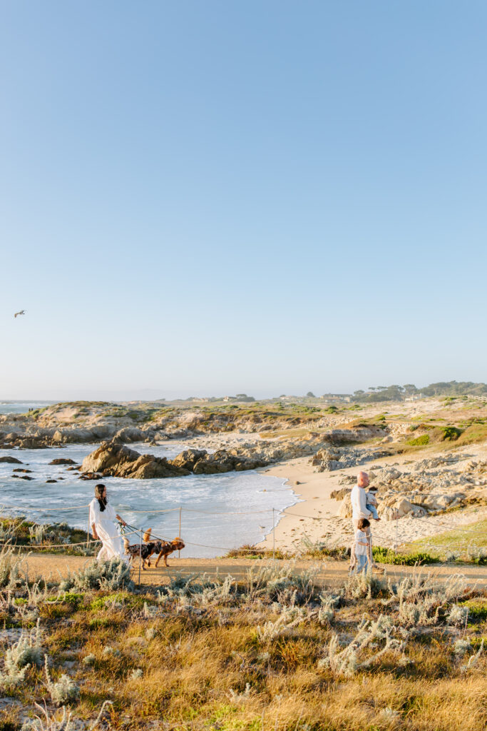 family session as example of maternity family photographer