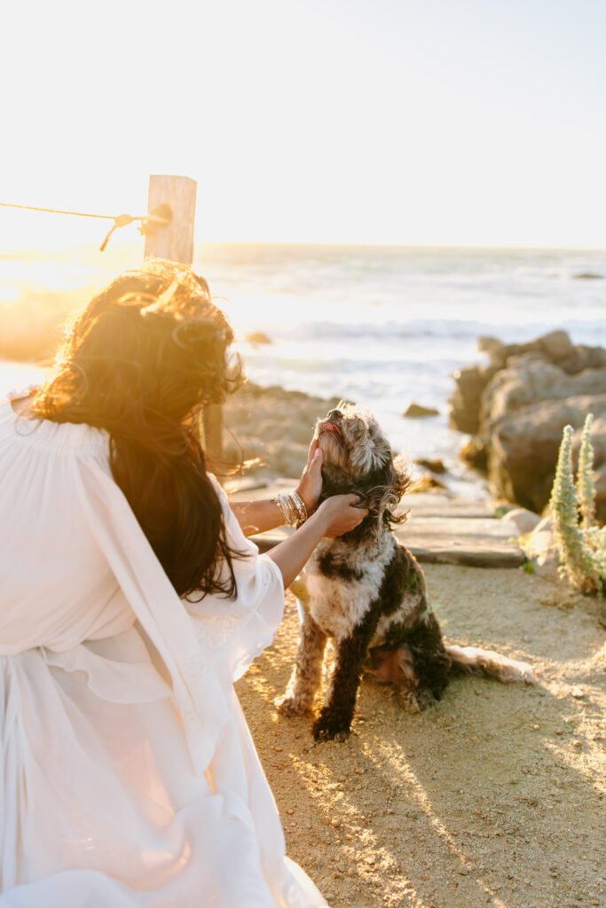 family session as example of maternity family photographer